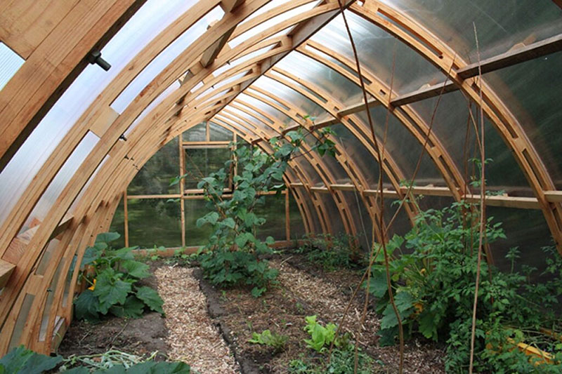 10mm Polycarbonate Polytunnel