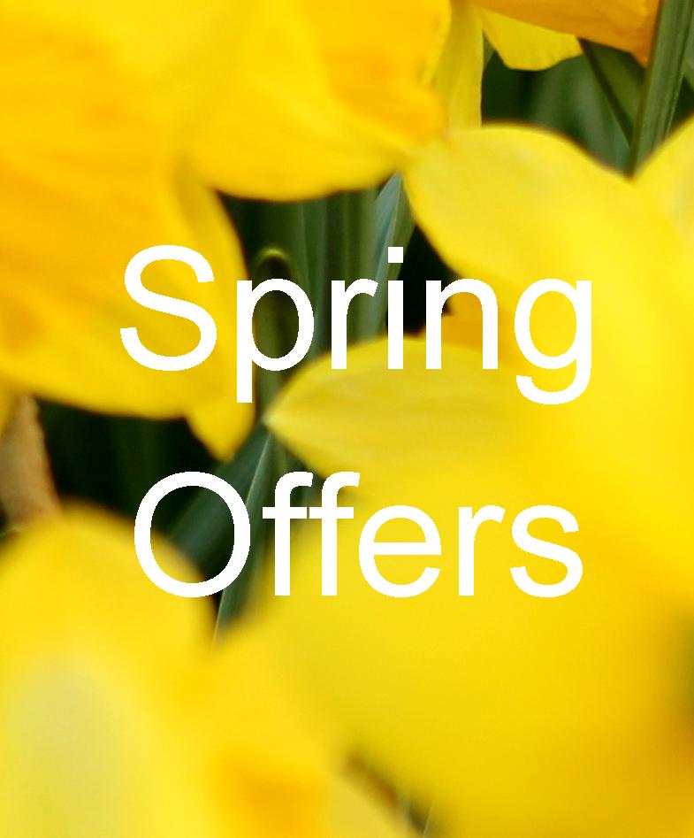 Spring Offers