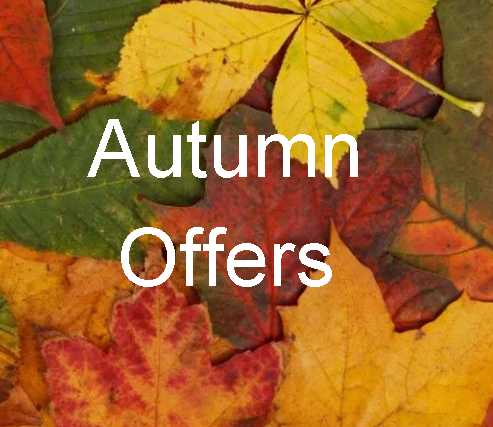 Special Offers