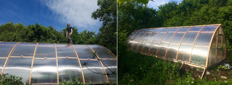 Polytunnel Polycarbonate Glazing