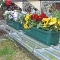 Heavy Duty Shelf Kit for Greenhouses