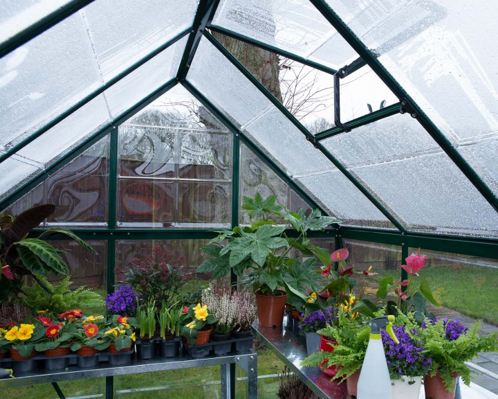 Buy Greenhouse, Green aluminium frame, 6ft. X 10ft. (6' x 10') online today